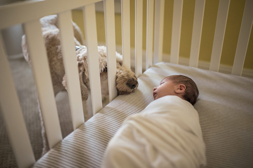 lifestyle-newborn-photography-with-pets
