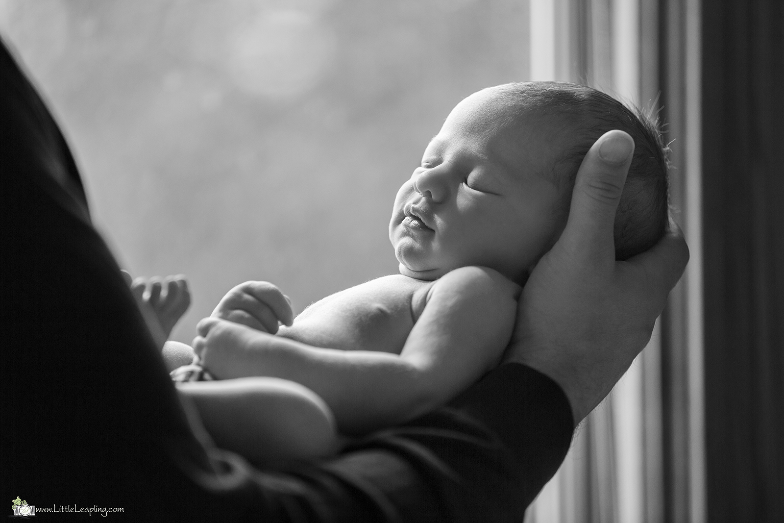 tips for great newborn photos