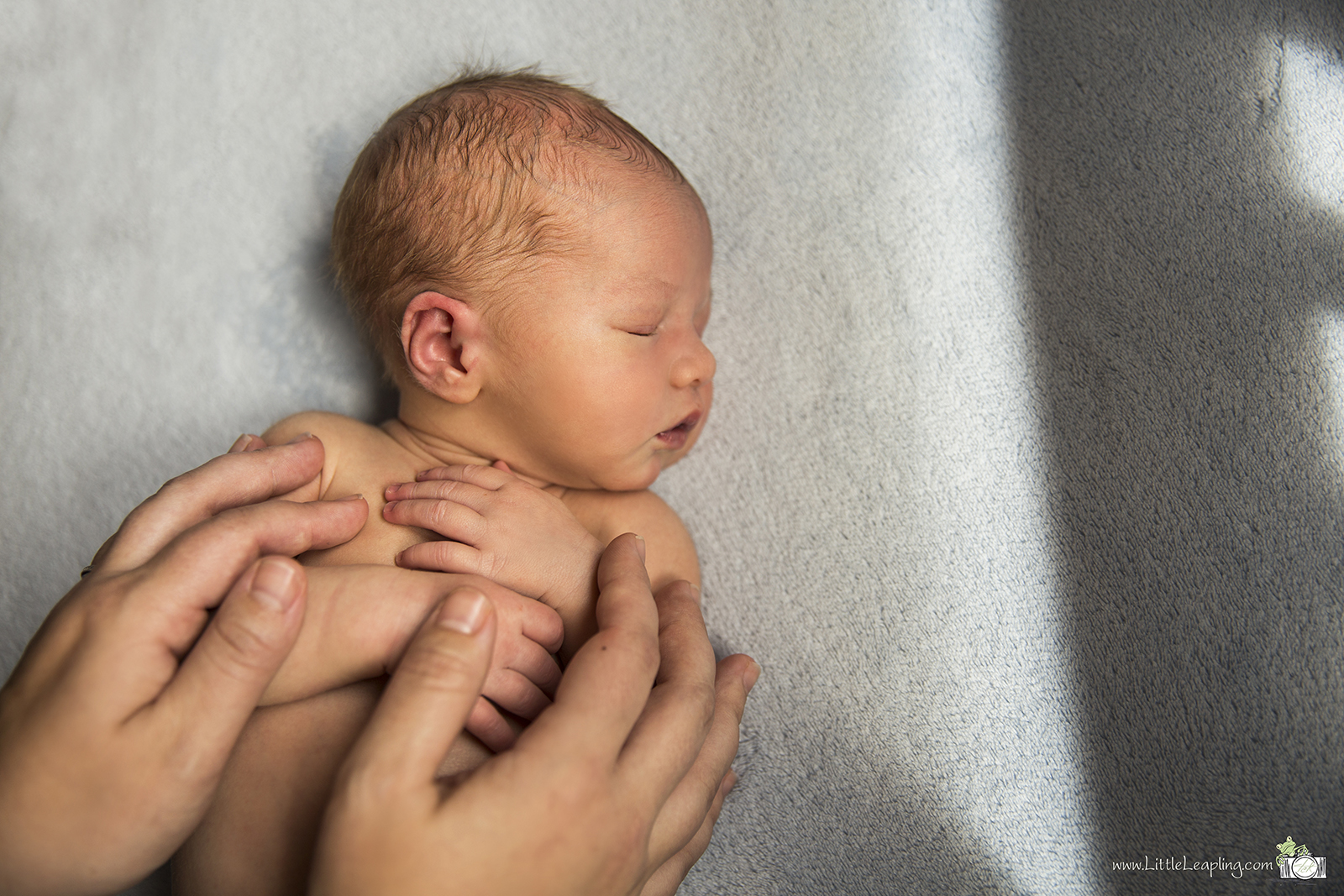 newborn-photo-tips