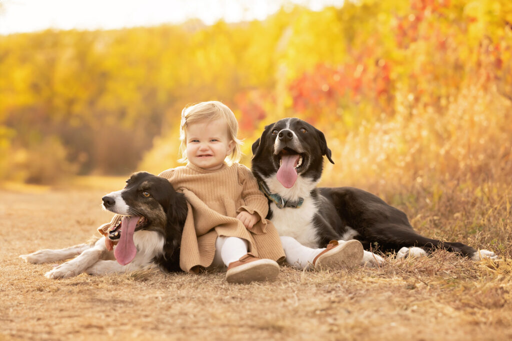 best-manhattan-park-for-dogs