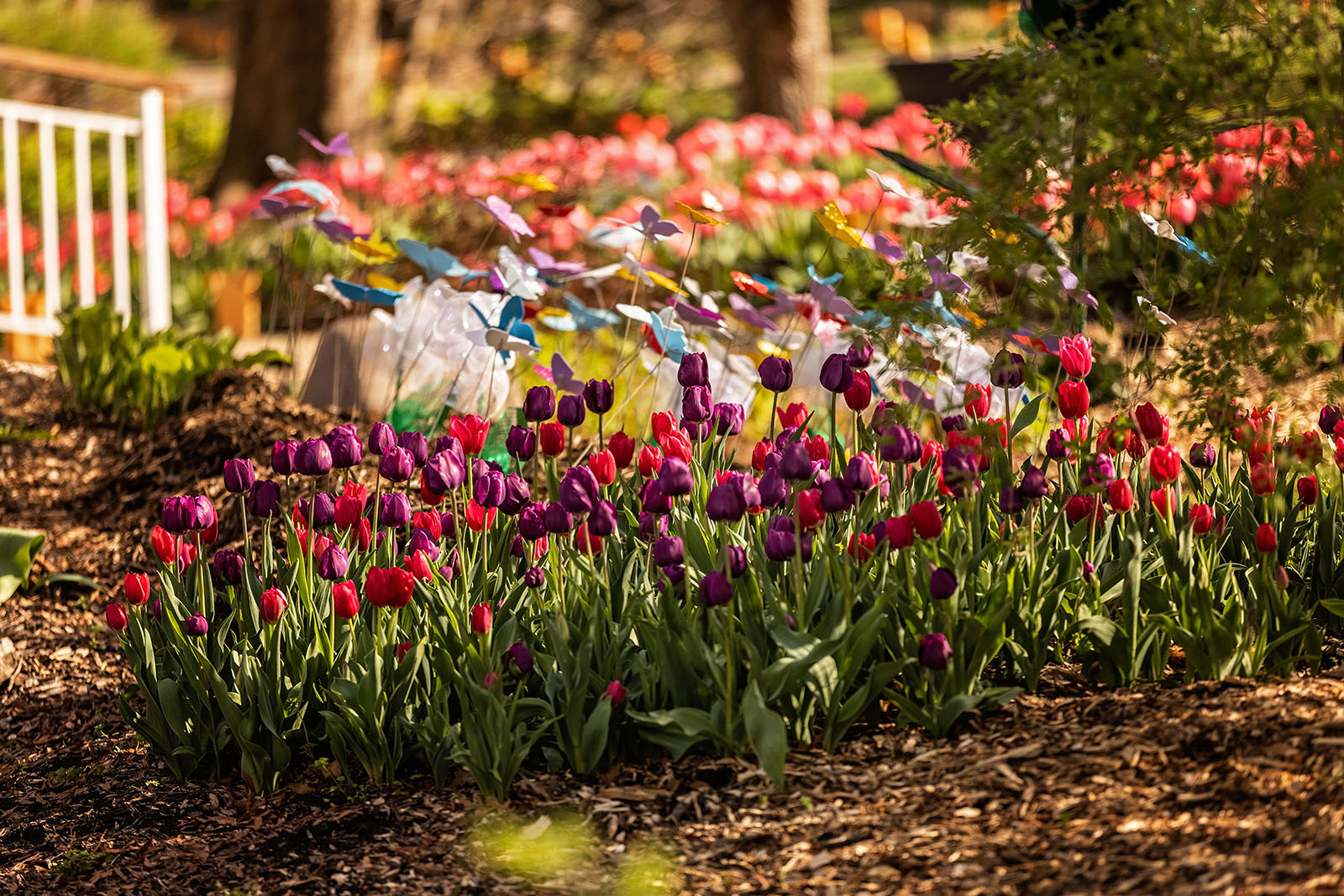 Ward Meade Park Topeka, KS