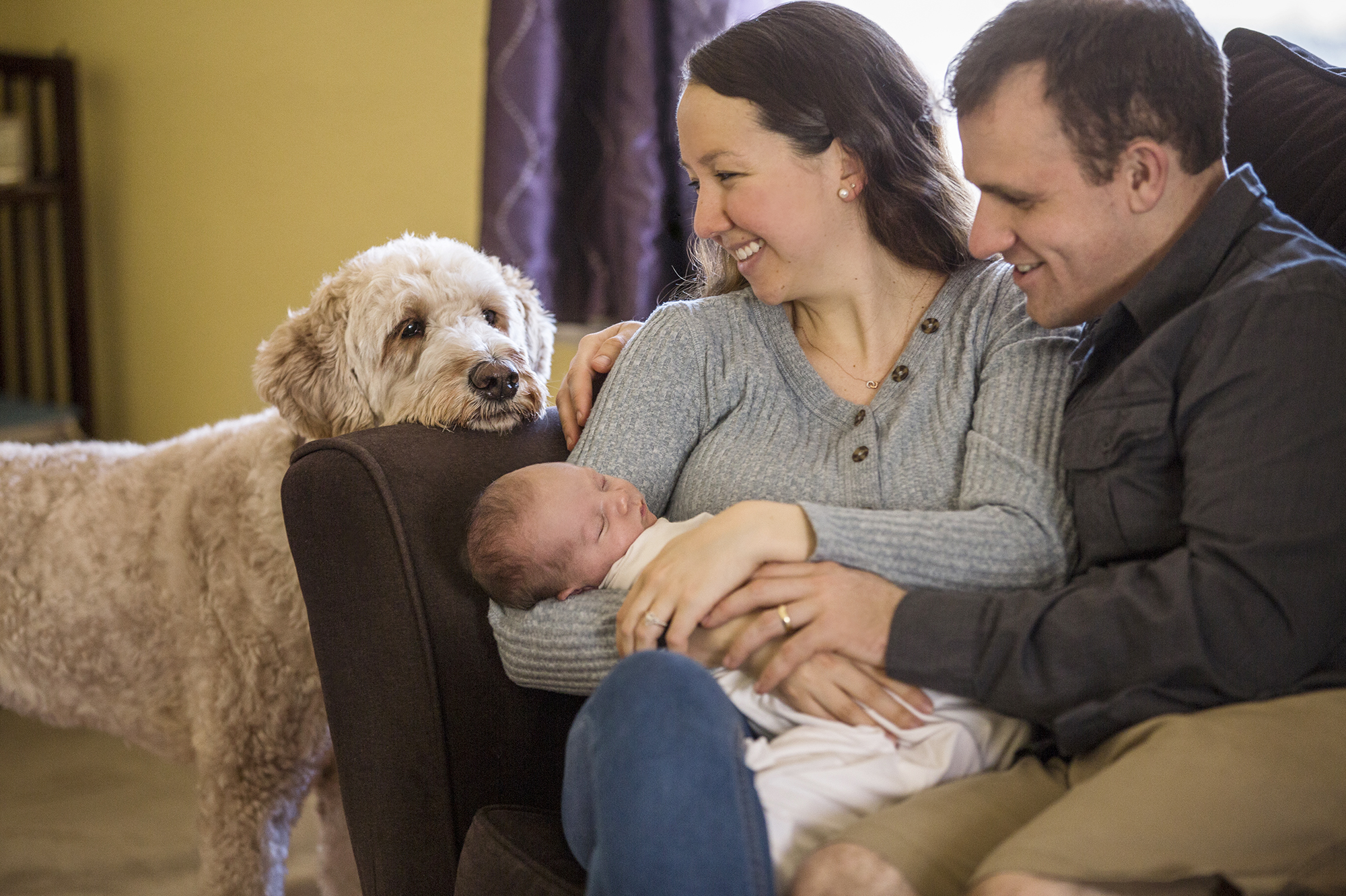 family-newborn-pets