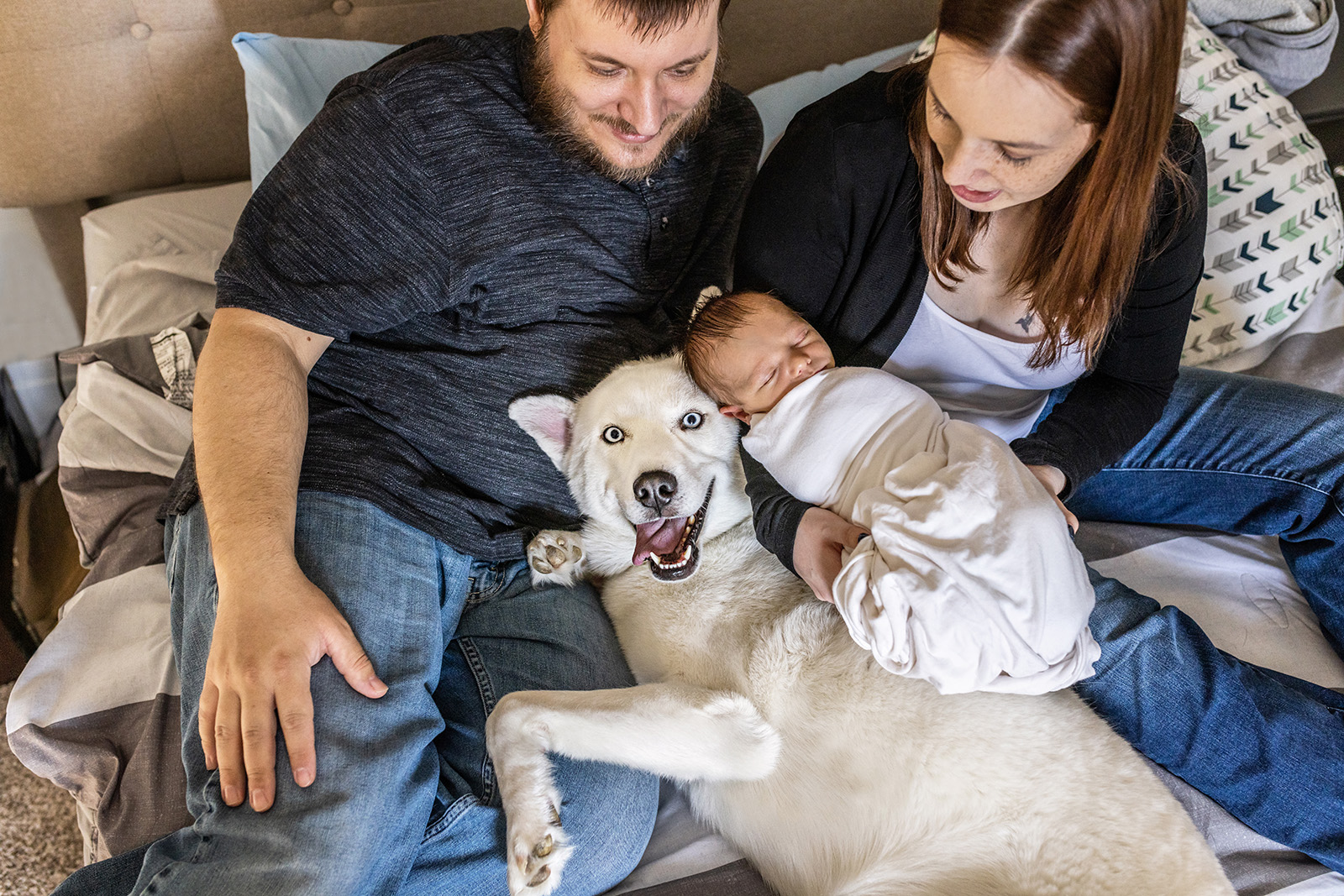 fun-newborn-poses-with-dogs