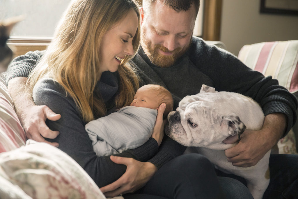 include-furbabies-in-newborn-sessions