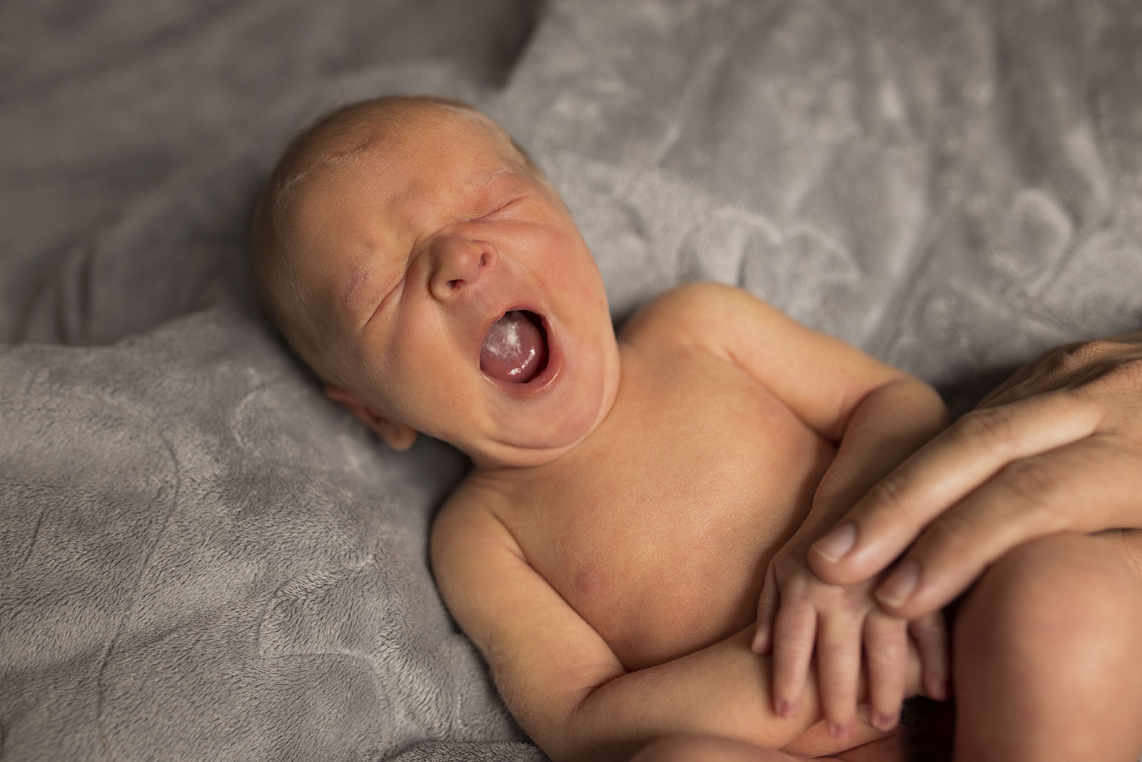 newborn photographers in kansas