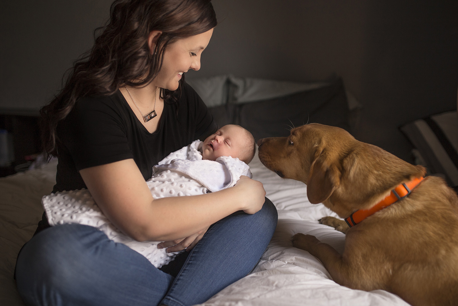 newborn-photos-with-dog
