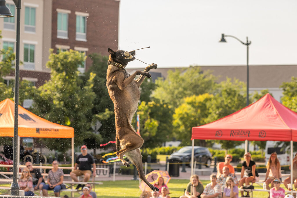 dock-dogs-vertical-jump-contest
