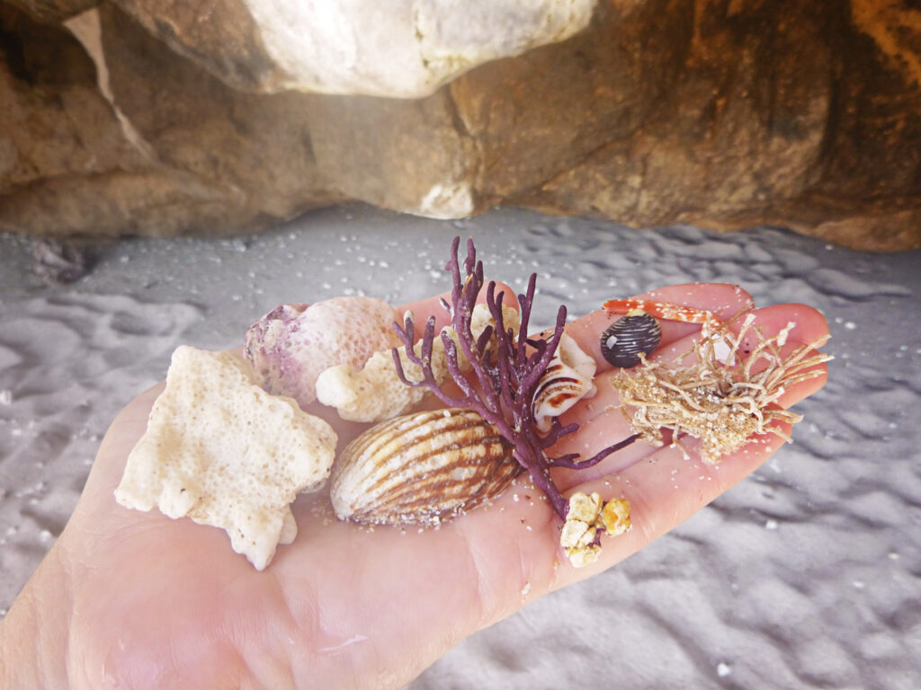 marietas-islands-treasures