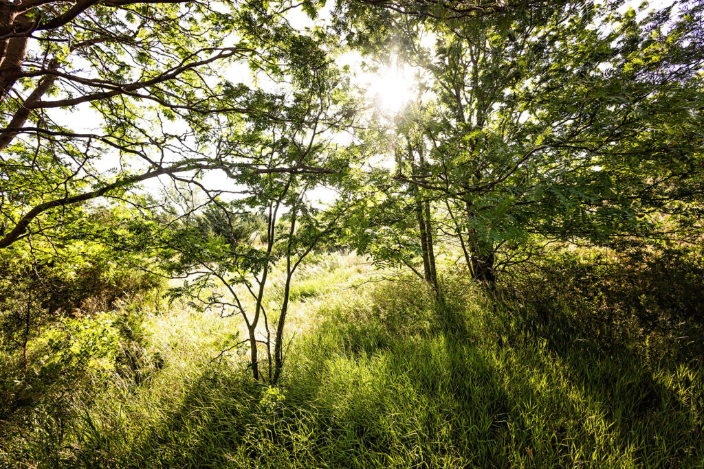 best-trails-in-kansas