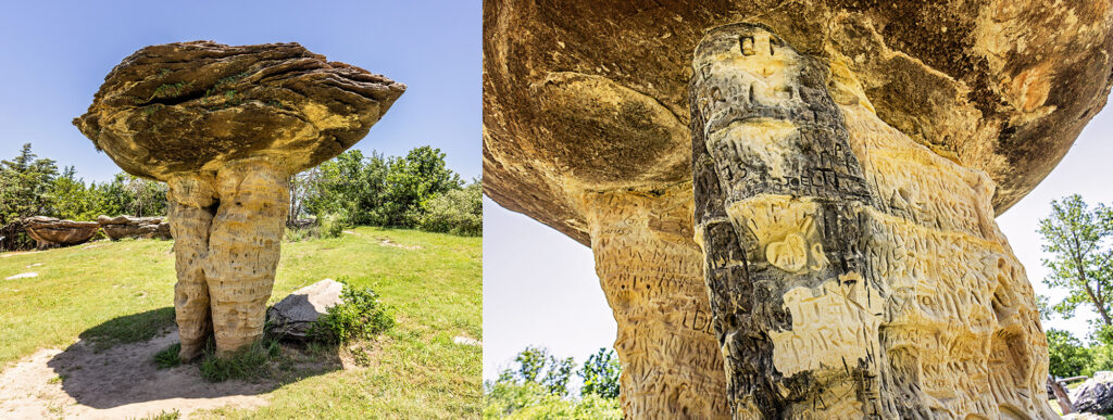 do-not-carve-in-the-mushroom-rocks