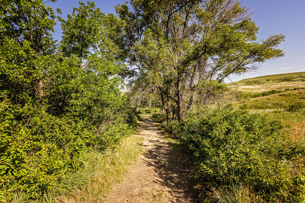rocktown-trails