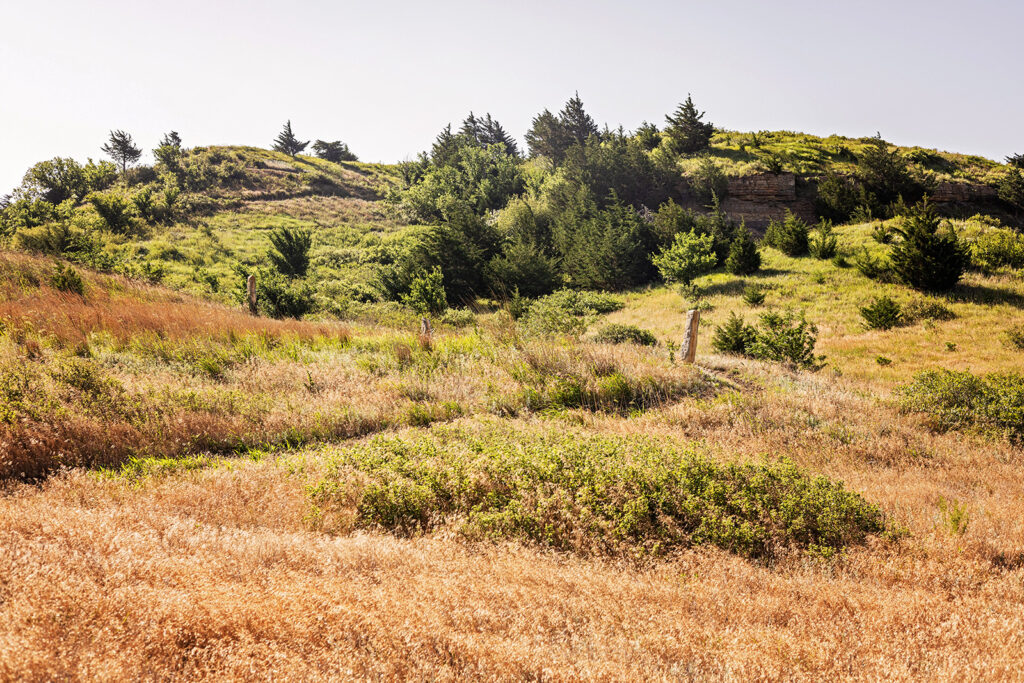 summer-trails-wilson-lake