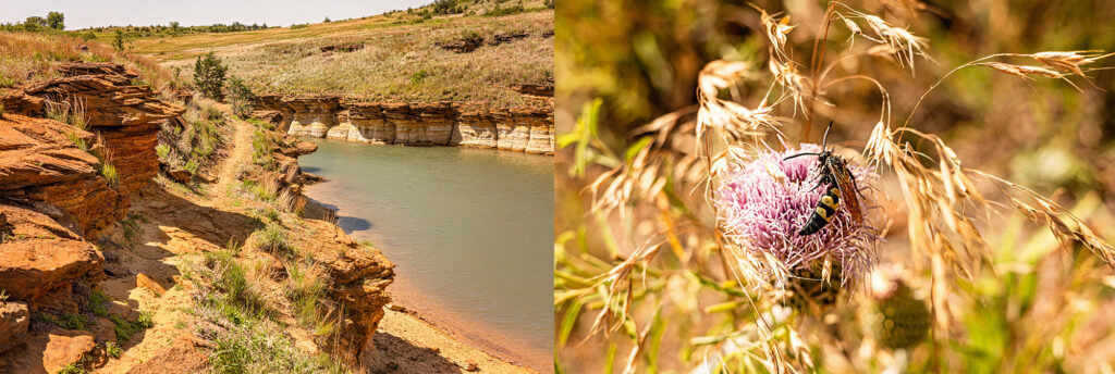 treasures-at-wilson-lake