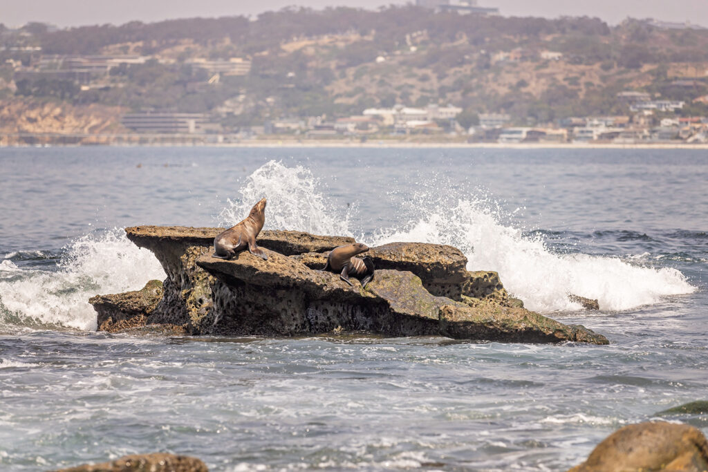la-jolla-cove