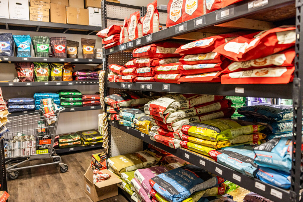 natural-dog-food-sunflower-pet