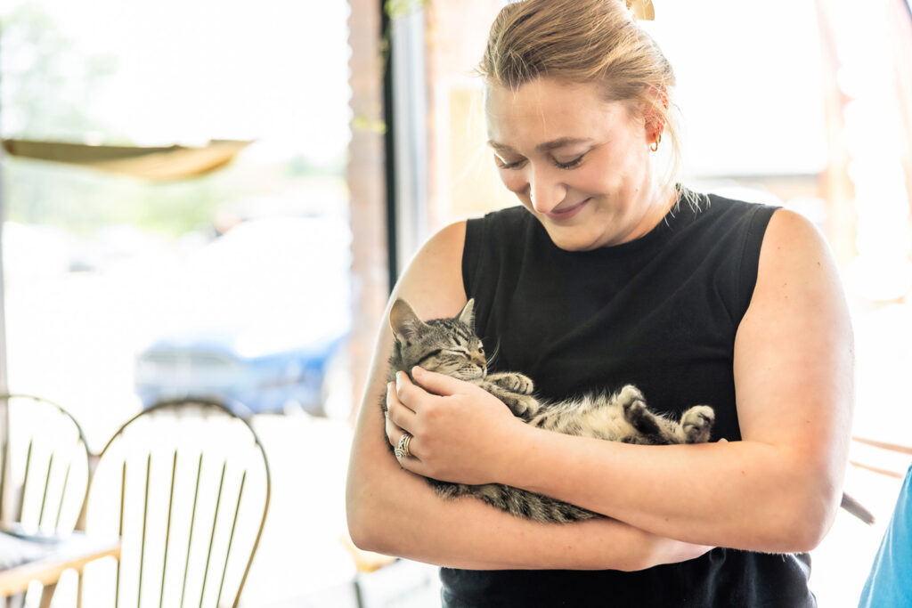 cat-cafe-cuddles