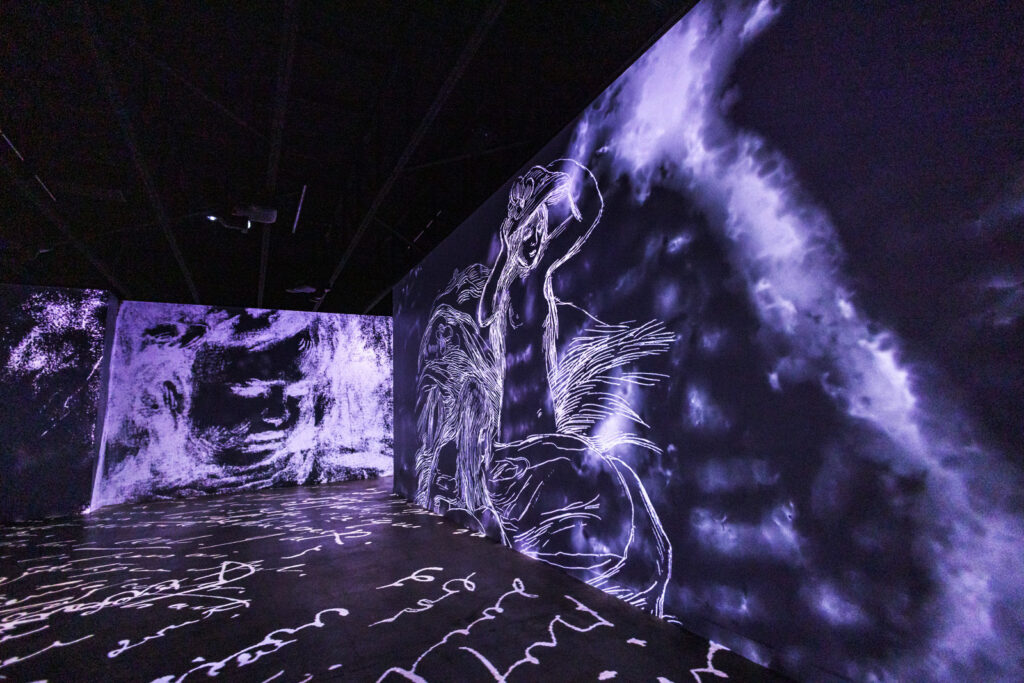 museum-art-light-Mezmereyz