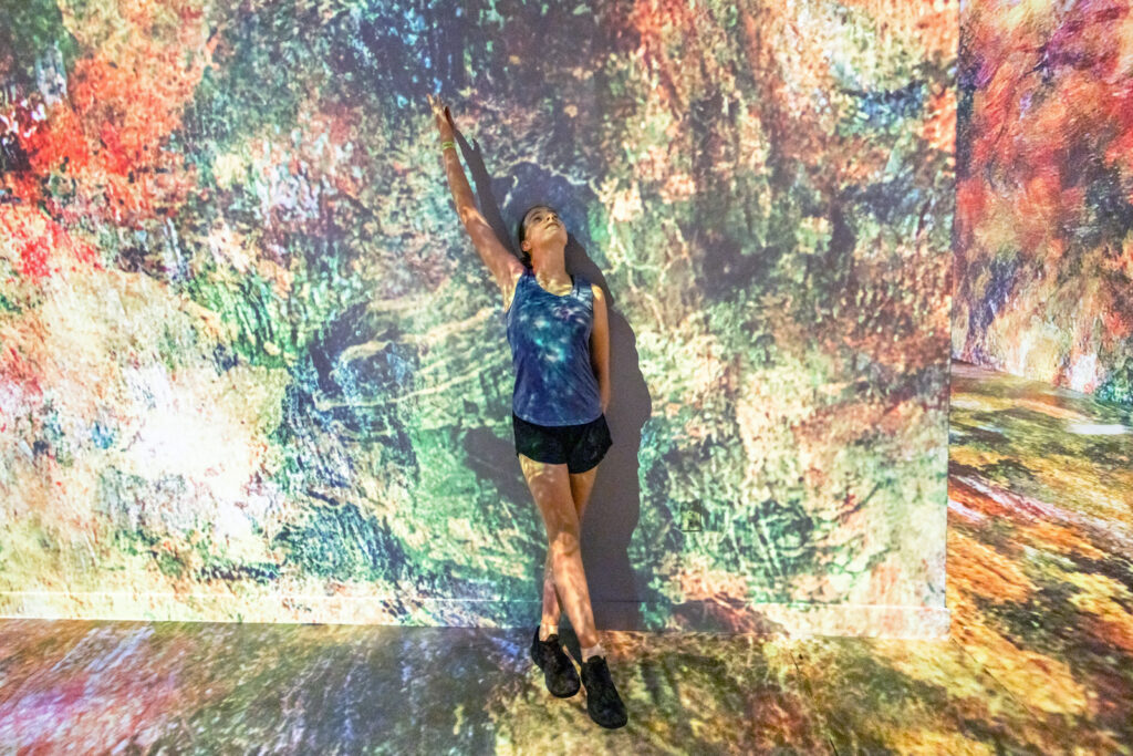 renoir-Mezmereyz-exhibit