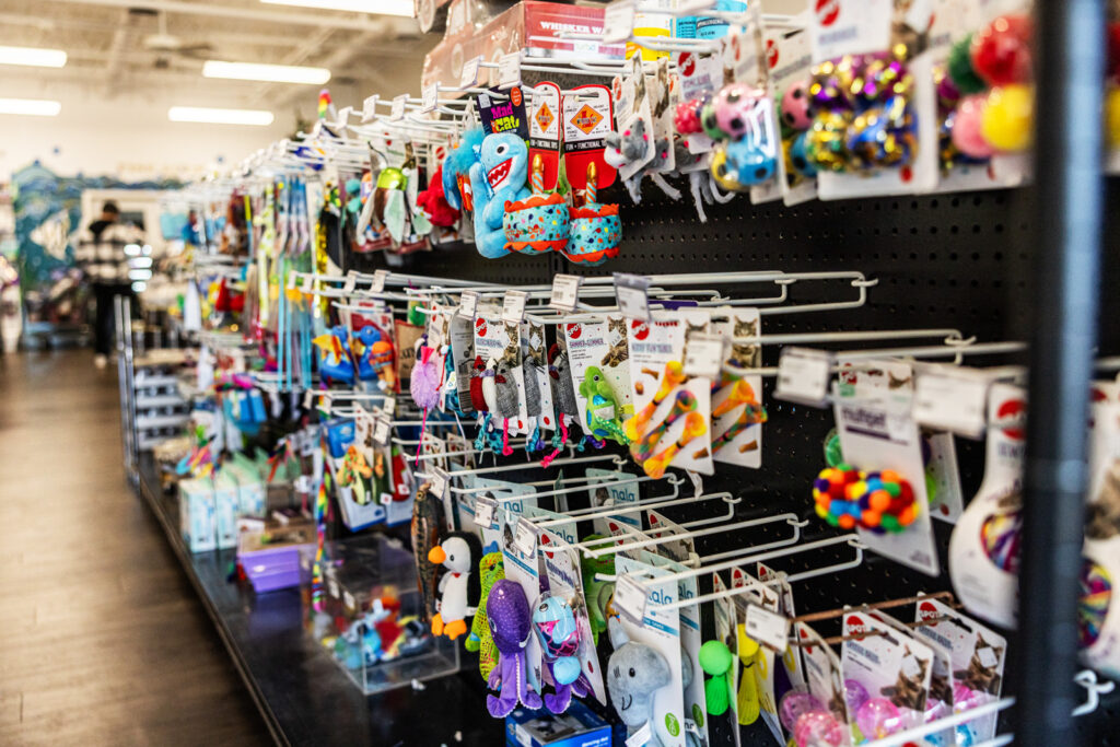 sunflower-pet-cat-toys