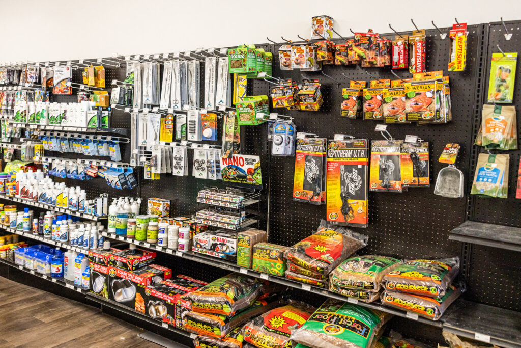 sunflower-pet-reptile-supplies