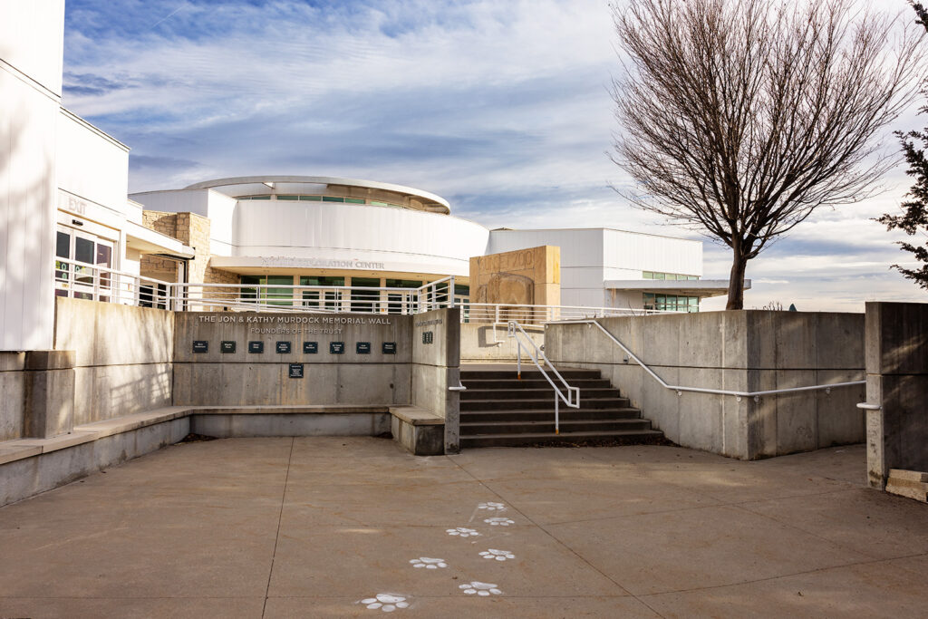 sunset-zoo-environment