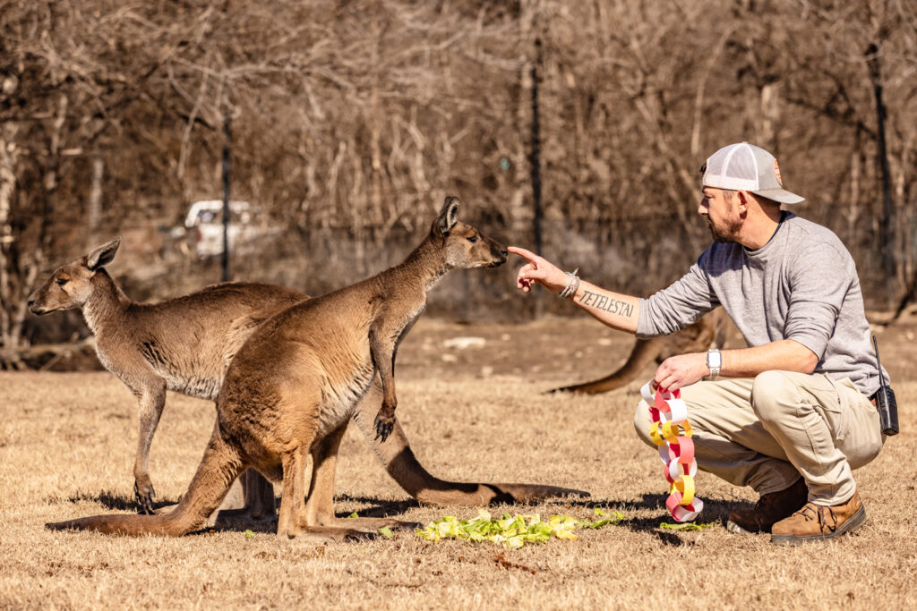 sunset-zoo-zookeeper