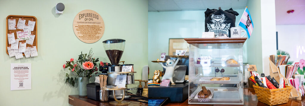 Espurresso prioritizes cleanliness at cat cafe.