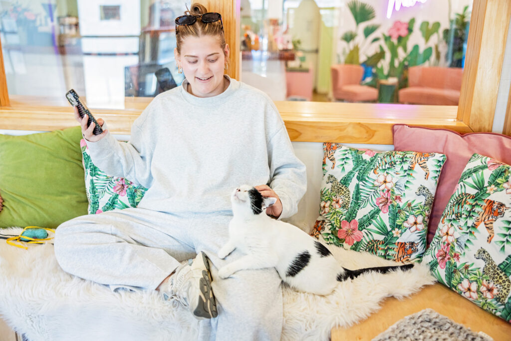 Cat chooses woman at the Cat Cafe in Lawrence.