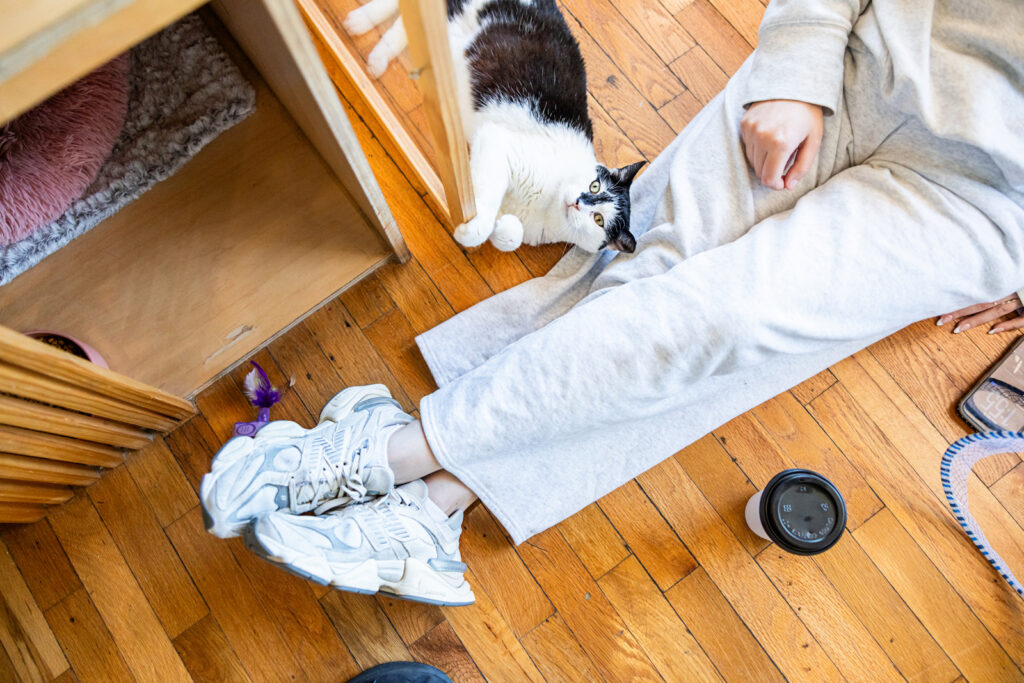 Artistic photo at Espurresso Cat Cafe.