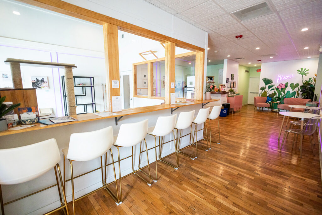 A nod to the cafe’s community ties with the neighboring Granada theater.