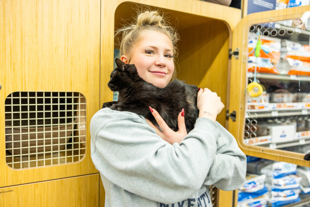 Kitten claims new owner at adoption event in Manhattan KS