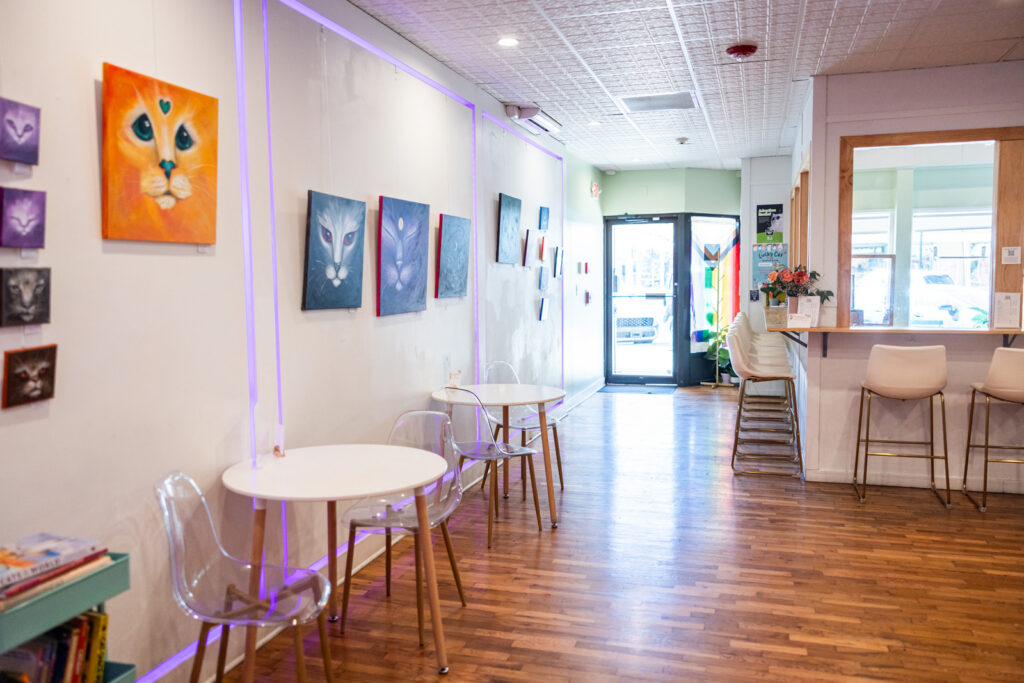 The clean, artistic interior of Espurresso featuring local Lawrence art and cozy seating.