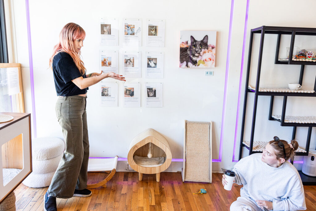 Mary Costello talking with patrons about the logistics of fostering shelter cats.