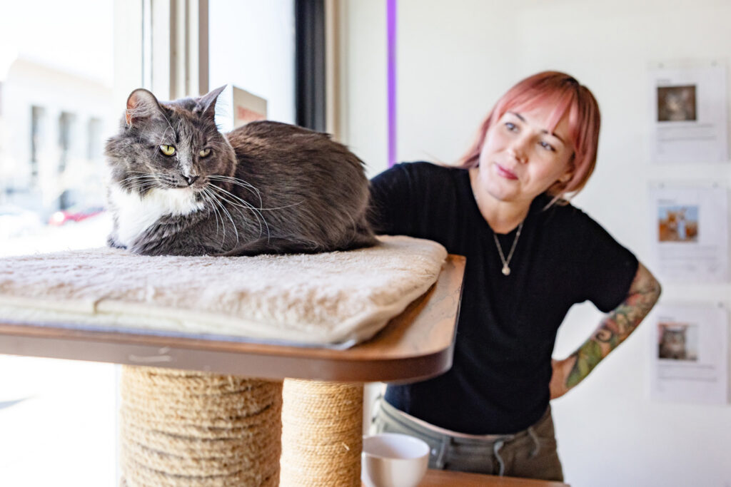 Syd, the resident mascot kitty, helping a new arrival acclimate to the cafe.